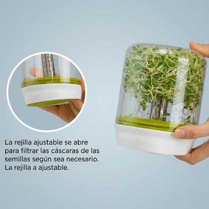 KIT GERMINADOR DE BROTES + SEMILLAS DE REGALO.